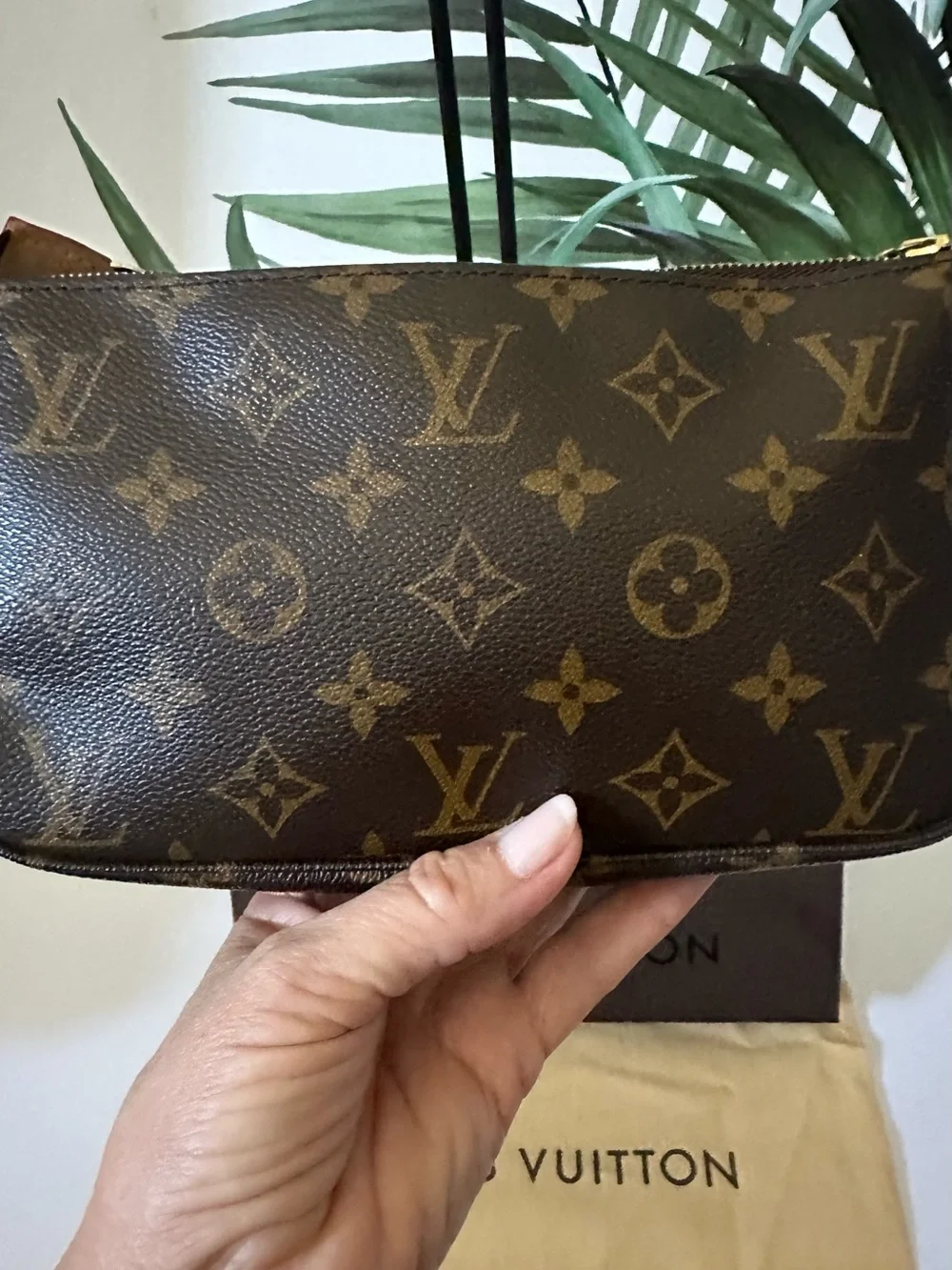 Louis Vuitton Monogram Pochette Accessoires  Bag